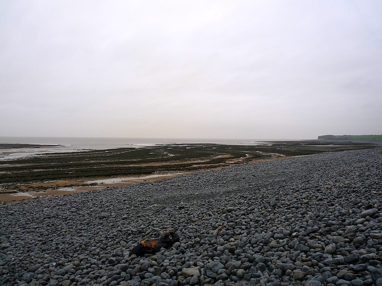 Low Tide Gileston