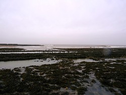 Left and Right at Gileston photo