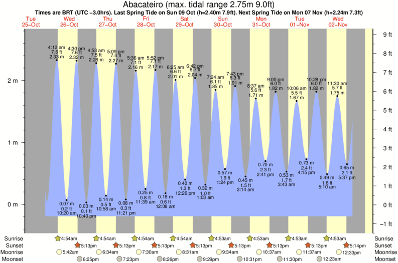 tide graph for Abacateiro surf break