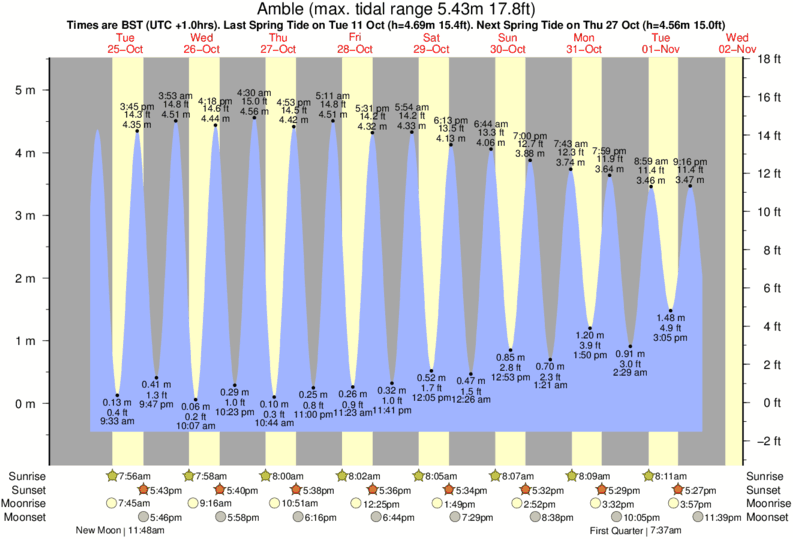 tide graph for Amble near Druridge Bay surf break