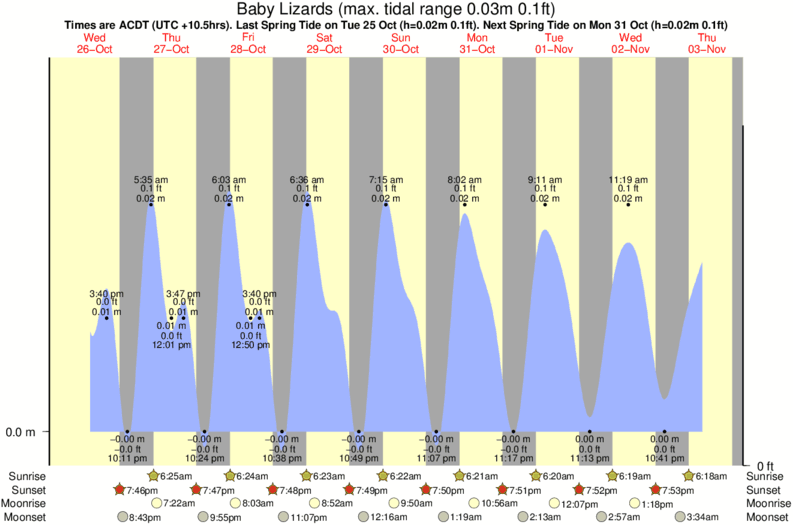 tide graph for Baby Lizards surf break