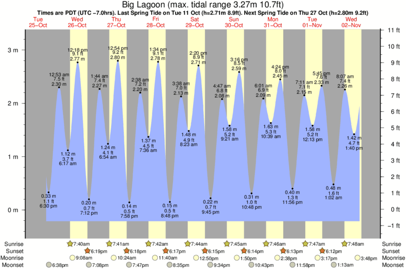 Cape May Point Tide Chart