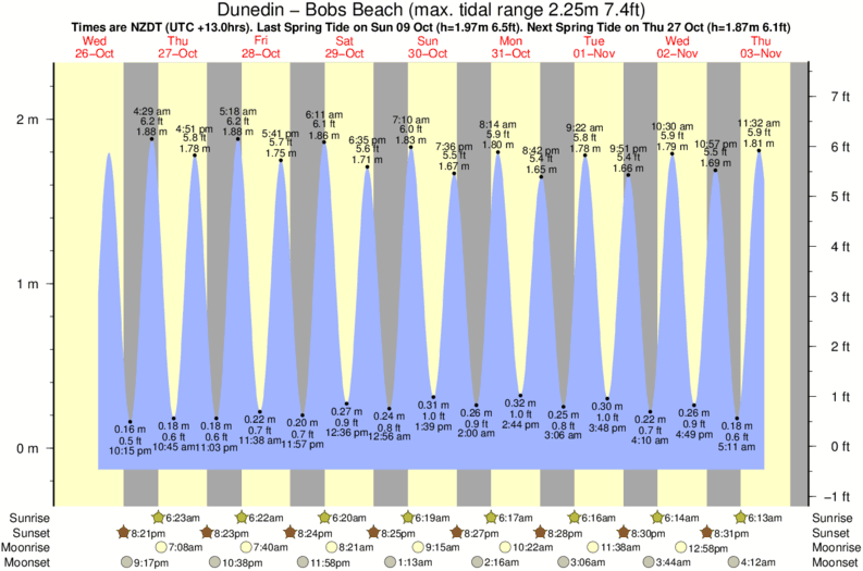 tide graph for Dunedin - Bobs Beach near Dunedin - Taieri Mouth surf break