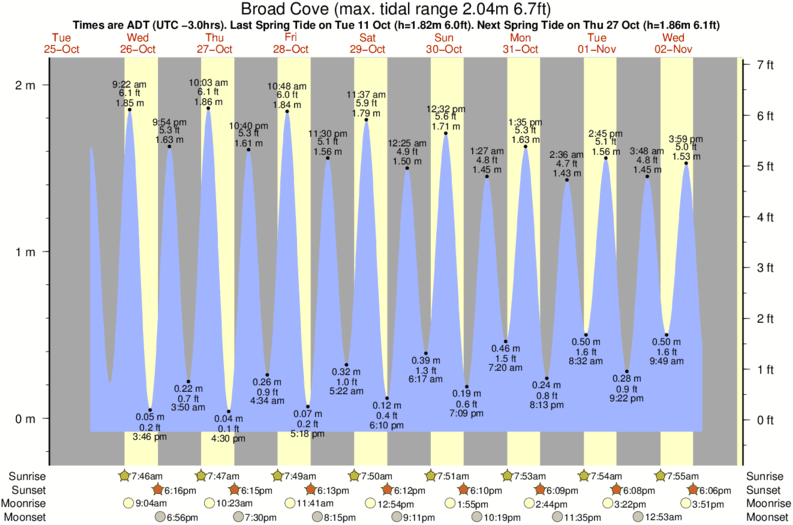 tide graph for Broad Cove surf break