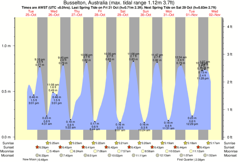 Wa State Tides Chart