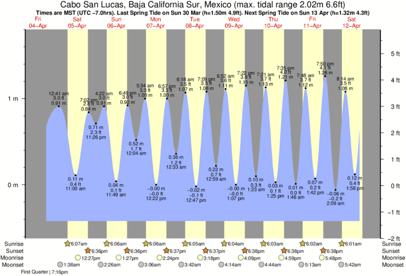 Baja Tide Chart