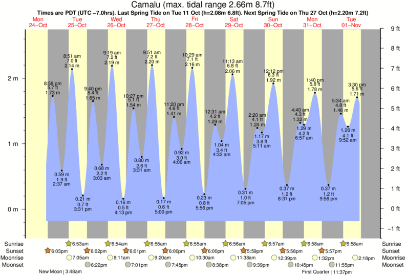 tide graph for Camalu near Rincon De Baja surf break