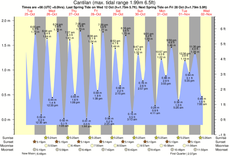 tide graph for Cantilan near Random Beach Break surf break