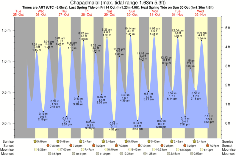 Tamarindo Tide Chart