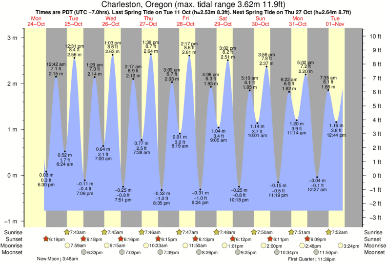 Charleston Tide Chart