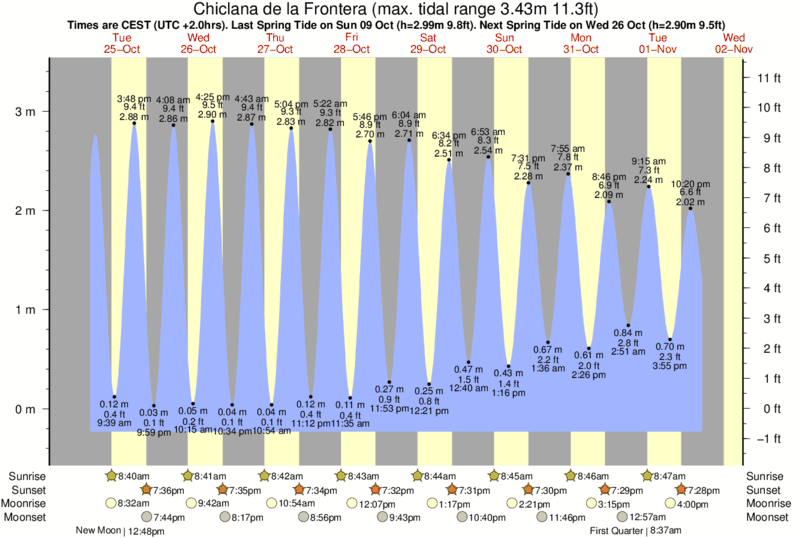 Lejr Charts