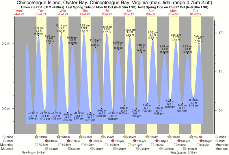 tide graph for Chincoteague Island, Oyster Bay, Chincoteague Bay, Virginia near Chincoteague surf break