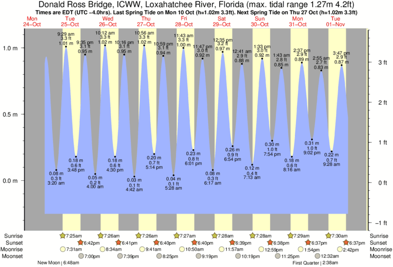 Juno Beach Tide Chart