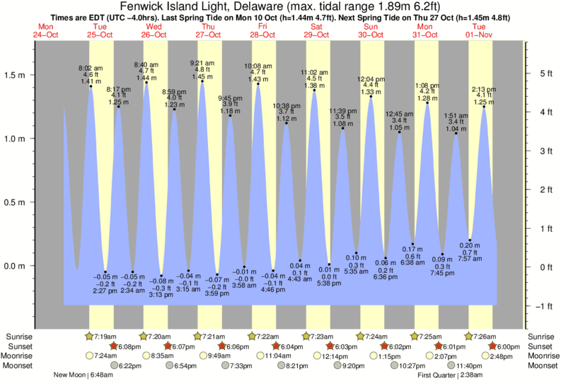 Delaware Beach Tide Chart