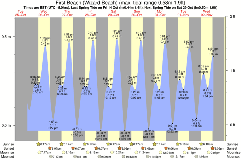 tide graph for First Beach (Wizard Beach) surf break