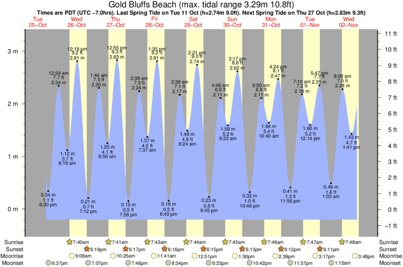 Gold Beach Tide Chart