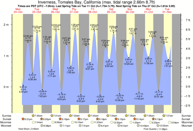 Bodega Bay Tide Chart