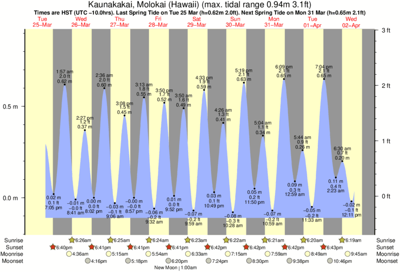 Molokai Tide Chart