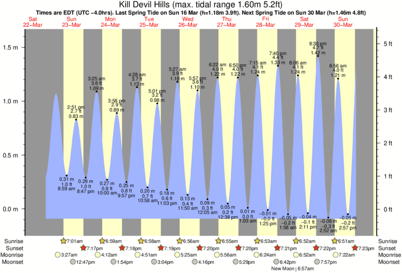 Outer Banks Fishing Season Chart