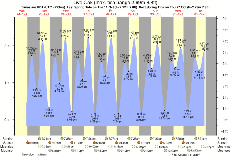 Oak Island Tide Chart 2019