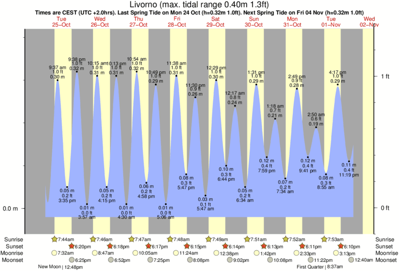 tide graph for Livorno near Il Sale surf break