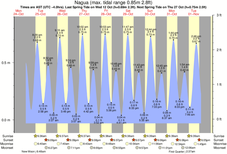 tide graph for Nagua near El Broke surf break