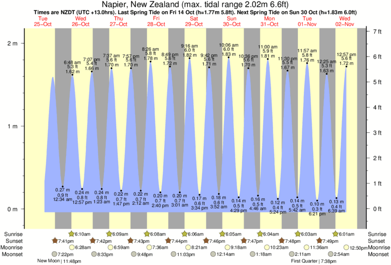 tide graph for Napier, New Zealand near Napier - The Gap surf break