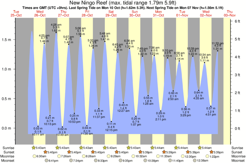 tide graph for New Ningo Reef surf break