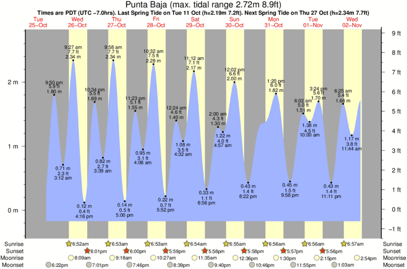tide graph for Punta Baja surf break