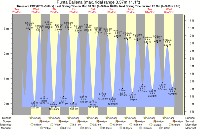 tide graph for Punta Ballena surf break