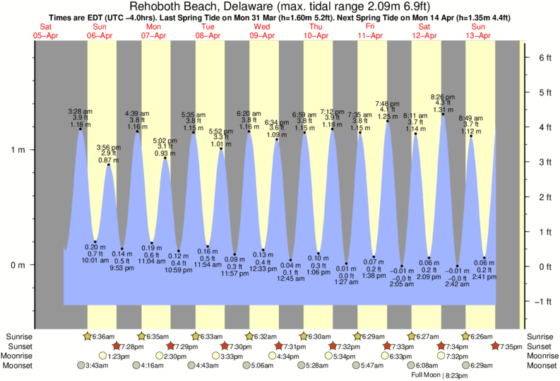 Delaware Beach Tide Chart