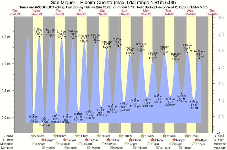 Miguel Charts