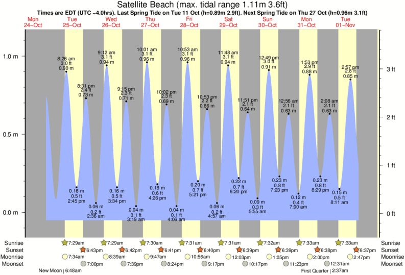 Jax Beach Tide Chart