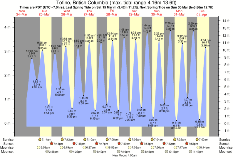 Tofino Tide Chart