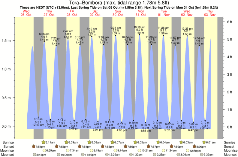 White Rock Beach Tide Chart