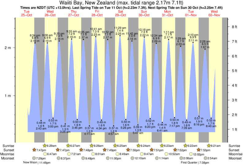 tide graph for Waiiti Bay, New Zealand near Takou Bay surf break