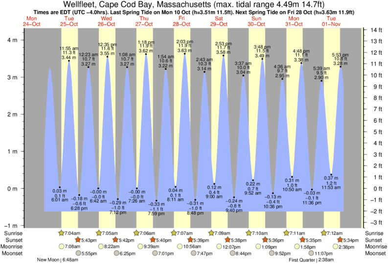 Safety Harbor Tide Chart