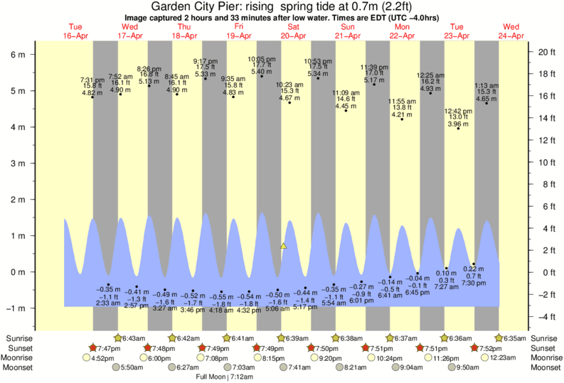 Garden City Pier Tides Cherry Grove Fishing Report Prince Resort