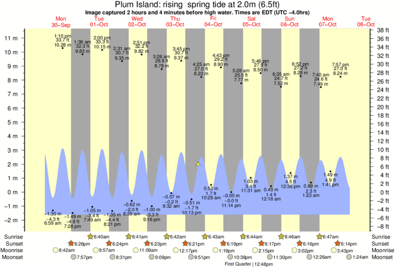 18+ Tide Charts Plum Island Ma