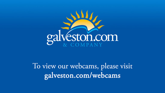 Galveston Webcam and Surf Cam